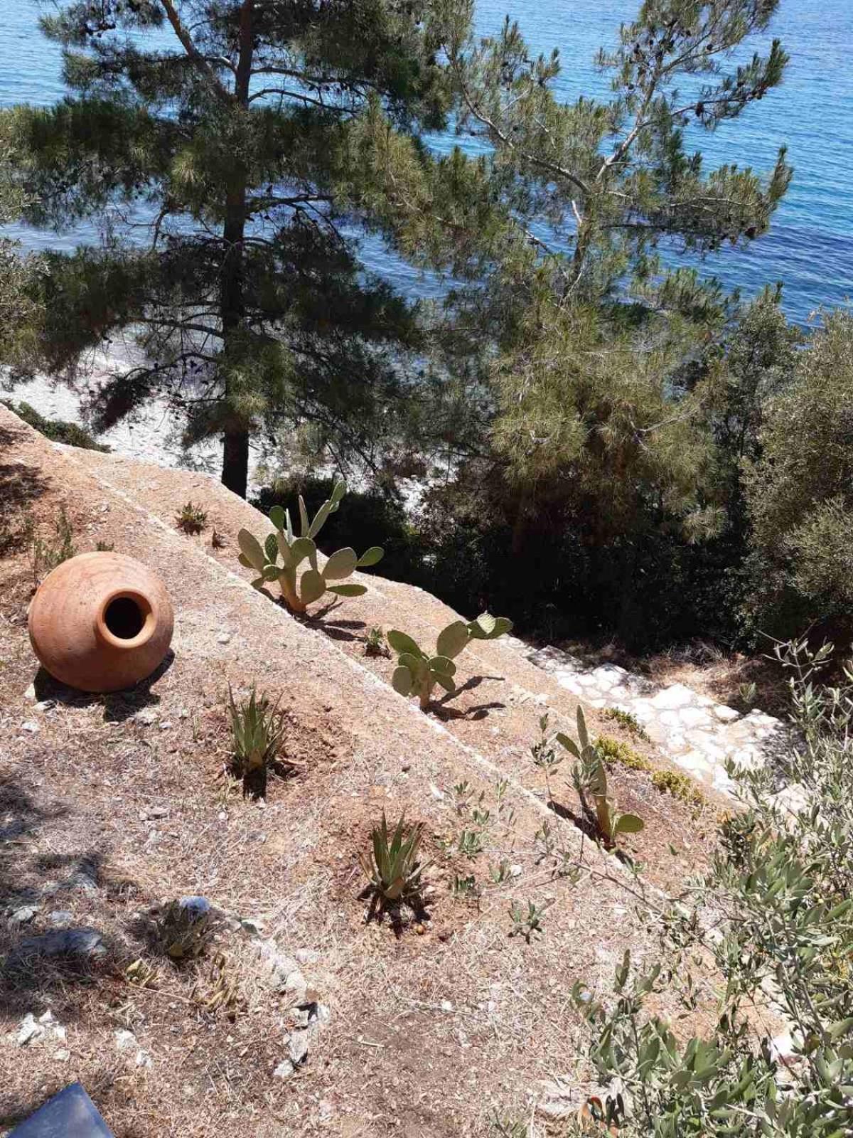 Δωμάτια Κόκκινος Πύργος Plomari Eksteriør billede